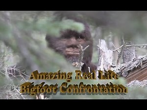 Amazing Bigfoot confrontation witnessed by University Professor