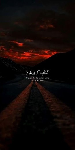 قرآن كريم | تلاوة هادئة وجميلة ❤️ القارئ عبد الرحمن مسعد | راحة نفسية