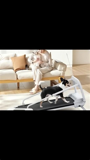 Danielle Roth on Instagram: "“Keep your pup happy, healthy, and full of energy indoors! 🐶🏃‍♂️ This folding 2-in-1 dog treadmill with 2.5HP motor, remote control, shock-absorbing belt, and incline up to 5.5° supports up to 265lbs! Folds easily with wheels for storage. Ideal for rainy days or high-energy breeds! 💪 Now just $219.99 + interest-free payments! Link in bio to shop TikTok showcase 🐕✨” #DogTreadmill #PetFitness #DogExercise #IndoorDog #PetGadgets"