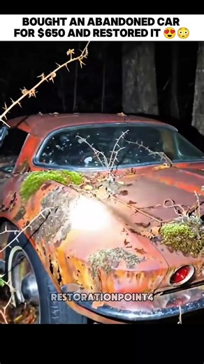 Restoring an Abandoned Car: A Journey to Revival