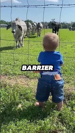 The FUNNIEST Jet Pilot Habits! ✈️😂 #Pilot #AirForce #Jet #Military #Funny #Aviation