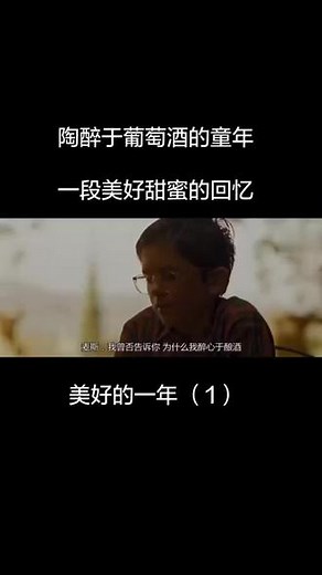 葡萄酒电影欣赏《美好的一年》#电影 #电影片段