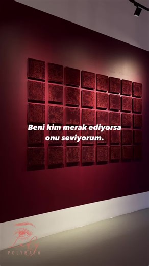 Exploring Lady Polymath: A Journey of Love and Psychology