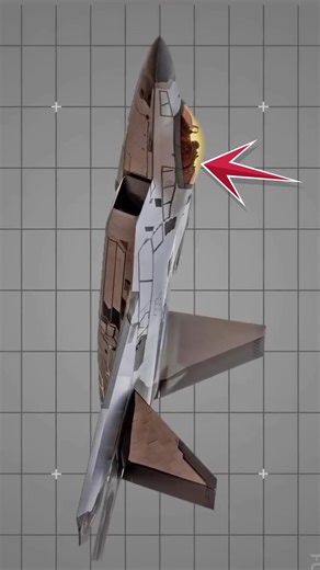 Why Does the F-22 Have a Gold Canopy? #f22raptor