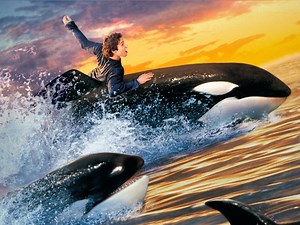 Free Willy 2 - Freiheit in Gefahr - Apple TV