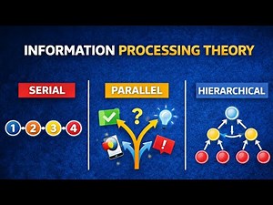 Information Processing Theory Explained | How the Brain Learns, Remembers & Thinks