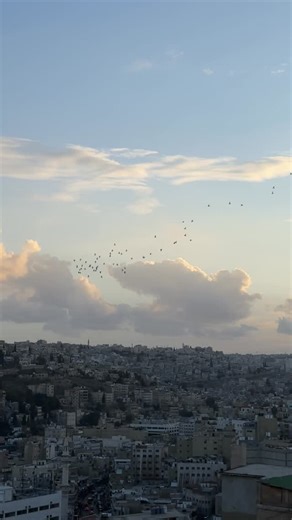 EJAAK | RezaDwiYanda on Instagram: "Exploring Jordan, especially the Amman Citadel, means long walks under the sun. To keep my face clean, I just something simple that works like Next Prime Deep Clean Facial wash. This is my travel essentials !! #KeepMoving @nextprime.official"