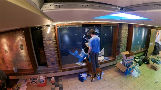 Each spring Visual Arts students redesign and fill the display cases in the concourse as part of their end of year thesis. Their art remains on display until the following spring for campers, Academy students, and campus visitors to enjoy! To learn more about visual arts programs at Interlochen, visit https://bit.ly/444dFdK Music by coma media on Pixabay. Video Description: Sped-up time lapse shows groups of students working to fill art display cases on the wall of a high school hallway. | Inter