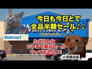 【ウォルマート】アメリカ中の嫌われ者！？全ての小売業を消し去り、撤退する破壊神 #猫マニ #猫ミーム
