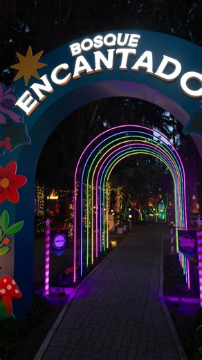 O Bosque Encantado está de portas abertas. Venha viver a magia do Natal em um passeio iluminado pelo jardim do Museu de Imigração. Cada detalhe do bosque guarda uma surpresa para quem acredita no encanto dessa época do ano. Visitação gratuita, de terça a domingo, das 19h às 23h. #BosqueEncantado #NatalDeJoinville #PrefeituraDeJoinville #Joinville | Prefeitura de Joinville