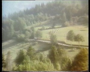 Mousline : Purée au fromage - Culture Pub