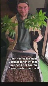 Drehbarer Pflanzentisch! Wir testen 🌱