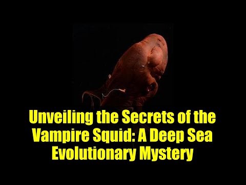 Unveiling the Secrets of the Vampire Squid: A Deep Sea Evolutionary Mystery