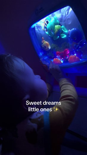 Aquarium Crib Soother for Sweet Dreams