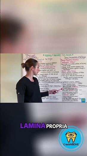 Fungiform Papillae: Taste Buds and Tongue Anatomy Explained - NBDHE Dental Hygiene Boards