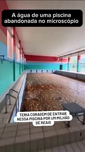 Visite nossa loja de escultura e Luminárias alienígenas e monstros 👽 @casaextraterrestreartes Nosso Perfil de achadinhos : @achadinhos.do.alien Em 2019, nos Estados Unidos, uma adolescente mergulhou em um lago artificial durante o verão e contraiu a Naegleria fowleri, conhecida como "ameba comedora de cérebro". Ela faleceu dias depois com sintomas de meningite. No Brasil, um homem de 34 anos precisou amputar a perna após entrar em um açude contaminado; uma bactéria conhecida como Vibrio vulnifi