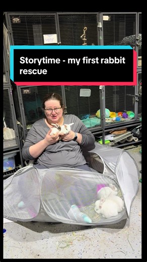 Baby Rabbit Socialization and Rescue Story