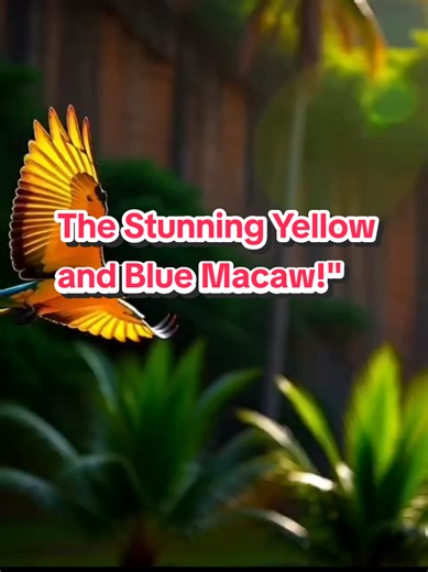Discover the Stunning Yellow and Blue Macaw