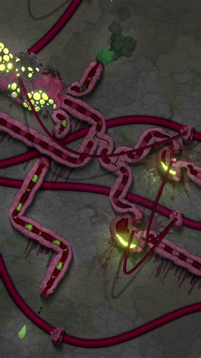 Biofactory - Bioreactor Studios on Instagram: "THE FACTORY MUST GROW #automationgames #gamedev #satisfactory #factorio #mindustry"