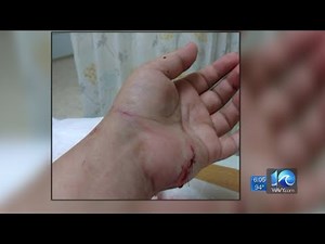 Police: Pit bull shot, killed by neighbor during dog attack in Suffolk