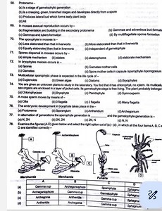 Protonema- (a) Is a stage of gametophytic generation (b) Is a c... | Filo