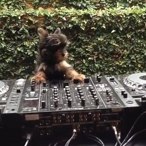 228K views · 1.7K reactions | What should his DJ name be? | DJ Mixes Now | Facebook