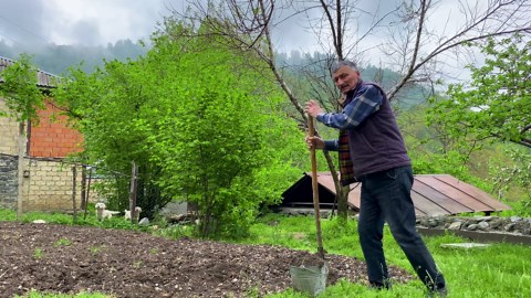 Azerbaijani Dolma with Fresh Spring Cabbage Leaves
