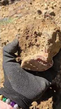 2 Big Carnelians! Cleaned up at the end. #agate #rockhounding #carnelian #pnw #fyp