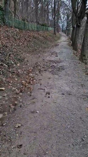 Wind. Вітер. Ветер #music