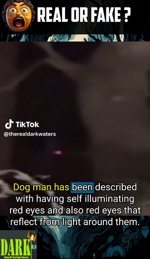 This is Dogman Prove me wrong #dogmanencounters #dogman #creepy #scarytiktoks