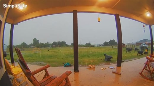 HELLO, LIGHTNING! Did the lightning and thunder wake anyone else up? KWTV - NEWS 9 viewer Brandi McMorris says the cows weren’t bothered 😂 | Lacie Lowry