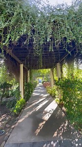 1K views · 43 reactions | Your idea of perfect relaxation from nature ⛱️‍♀️ | Haya Nature Resort | Facebook