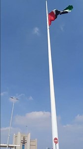 plag day from uae #duet