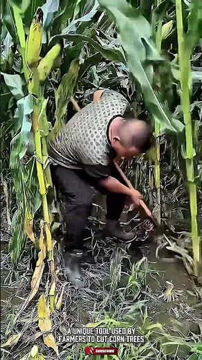 Effortless Corn Stalk Cutting with This Unique Double-Blade Tool #Toolholder