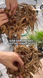 7.4K views · 45 reactions | Người trẻ Trung Quốc cho một chú gà con cơ hội thứ hai. | Tích cực | Facebook