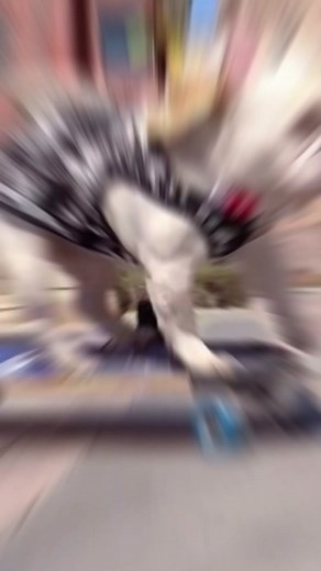 Skateboard dog cabbage😎🛹#dog #bulldogs #skate #skateboarding #skateboard #fyp