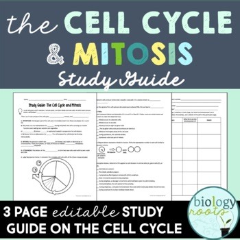 Mitosis Study Guide Review - Cell Cycle and Mitosis Cell Division