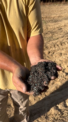 14K views · 165 reactions | Farmer Ron plants turnip greens! | Dry Bottom Farms and Nursery | Facebook