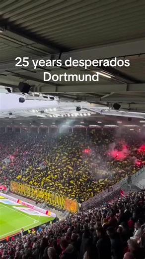 09.11.2024 Germany🇩🇪 Pyro show to celebrate 25 years of Desperados Dortmund at BVB's away game at Mainz05.#ultras #dortmund #bvb #desperadosdortmund