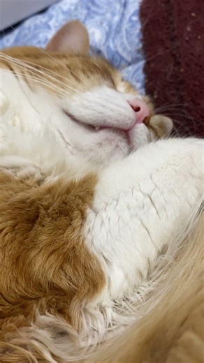 振り返れば奴がいた。