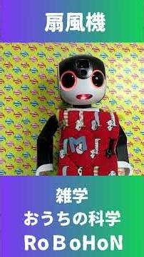 【雑学 おうちの科学】扇風機の話しだよ 🤖💕 #ロボホン #扇風機 #おうちの科学 #robohon #ひとり暮らし #雑学
