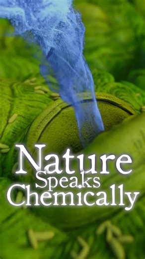 1K views · 32 reactions | This is the hidden language of life: The...