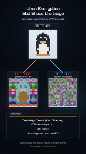 Why This Encrypted Image Still Leaks