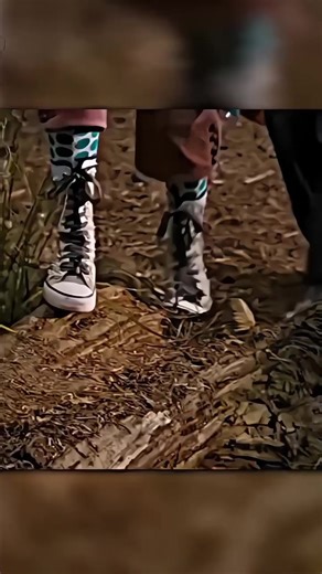Exploring Bridge to Terabithia: A Journey of Imagination