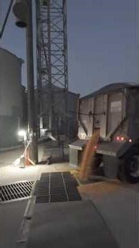 Corn Harvest Wet Corn Dump Pit & Alumatech End Dump Semi Trailer Feed SUKUP 2413 Mixed Flow Dryer
