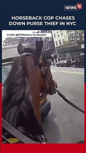HORSEBACK CHASE! NYPD Cop Catches Purse Thief | N18S #shorts