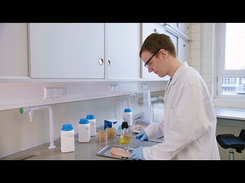 An Overview of Food and Beverage Testing Solutions