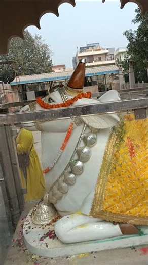 Nandi Maharaj #mahadev #bholenath #varanasi #tour #travel