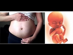 15-WEEK PREGNANT belly (3 months pregnant) and fetal development!!