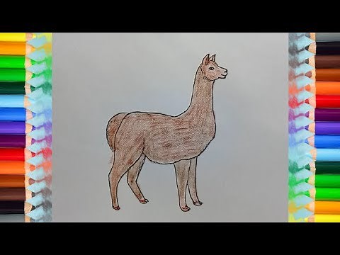 How to Draw an Alpaca step by step | Easy animals to draw